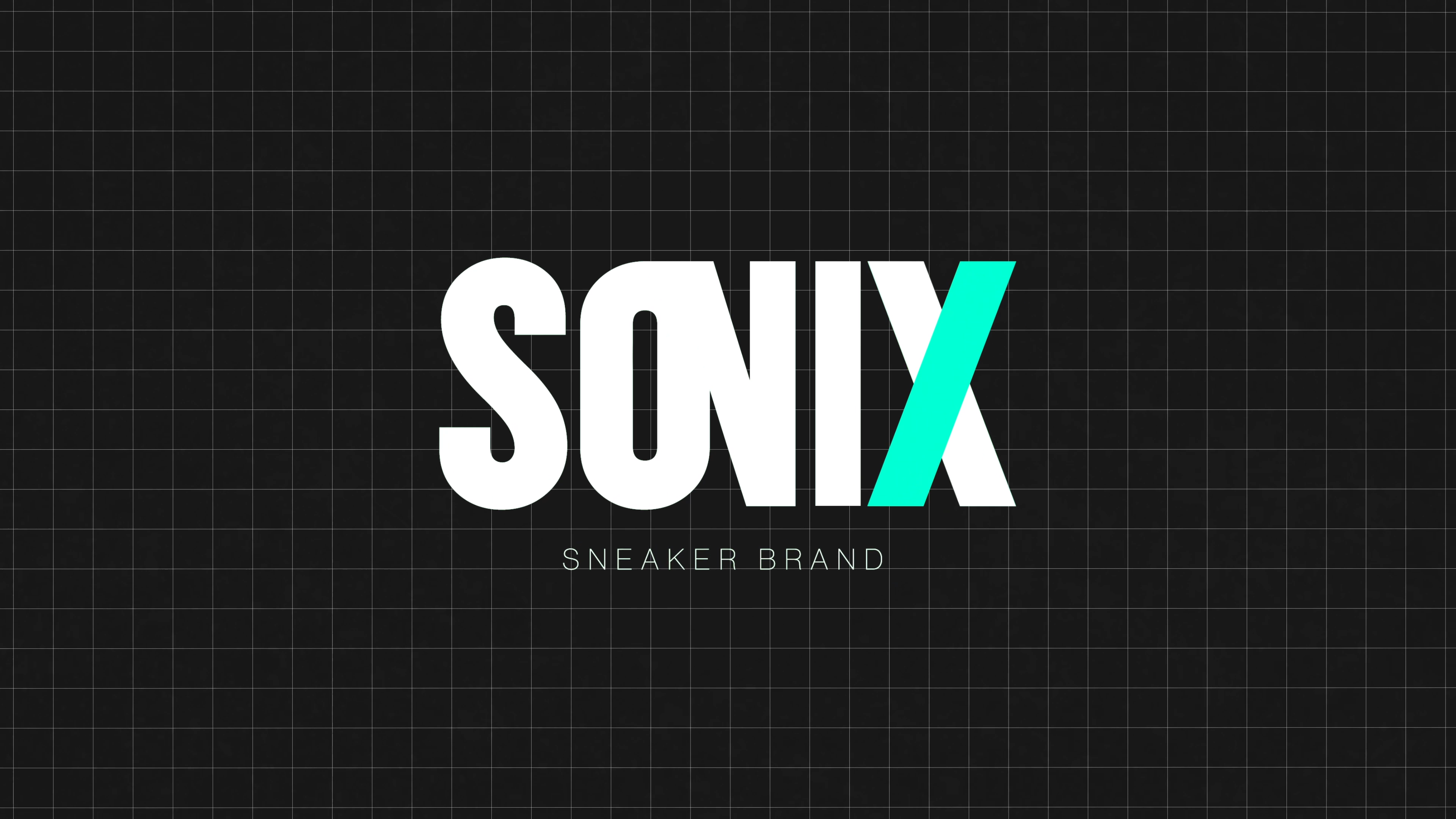 SONIX ｜ ロゴマーク&映像グラフィック | イメージ画像01