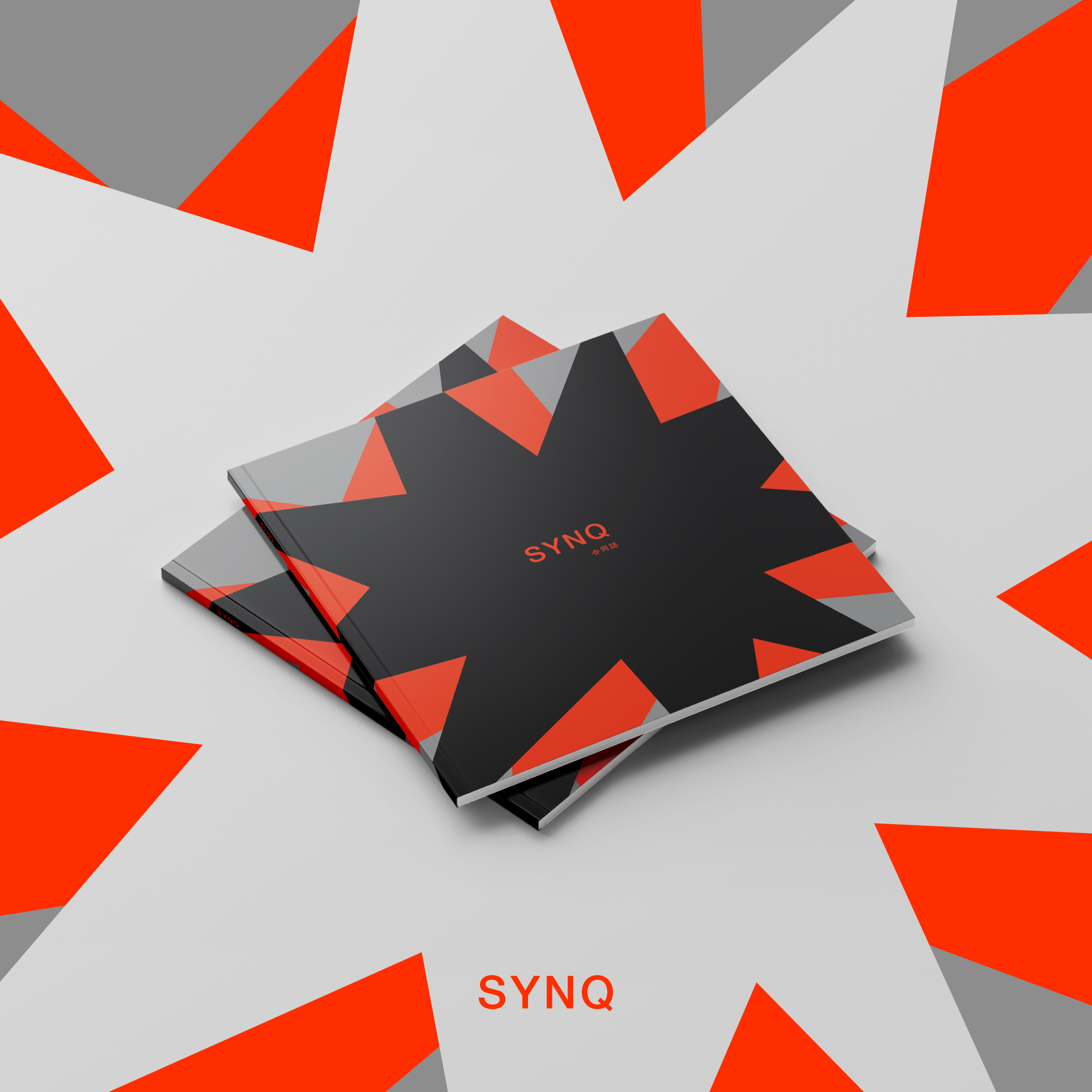 合同誌SYNQ ｜ 企画 / デザイン | イメージ画像02